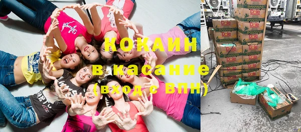 дмт Алзамай