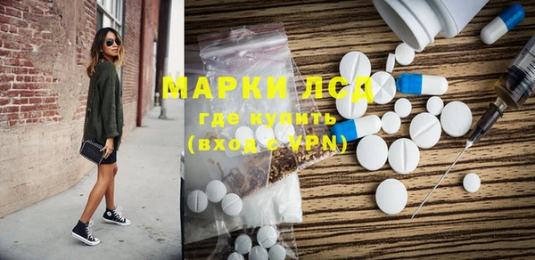 дмт Алзамай