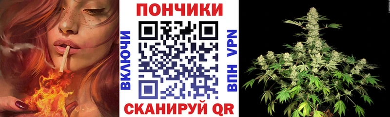 купить наркотик  Завитинск  Бошки марихуана ГИДРОПОН 